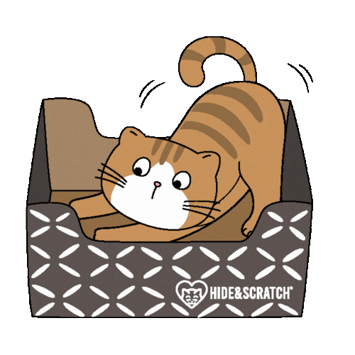 Happy Cat Cardboard Box Sticker by Hide & Scratch
