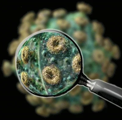 कोरोना वायरस-Coronavirus 