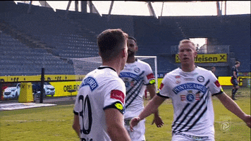 Come On Yes GIF by SK Sturm Graz