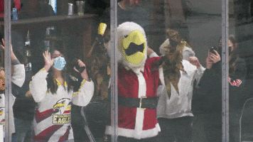 Celebration Jumping GIF by Colorado Eagles