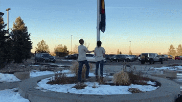 Us Flag GIF