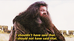 Image result for hagrid i should not have said that gif