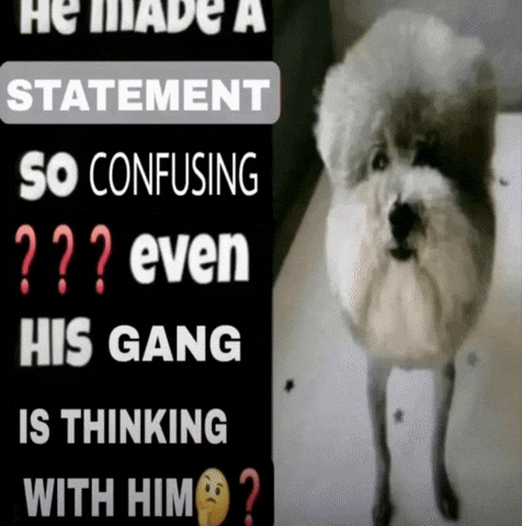 Dog Confuse GIF