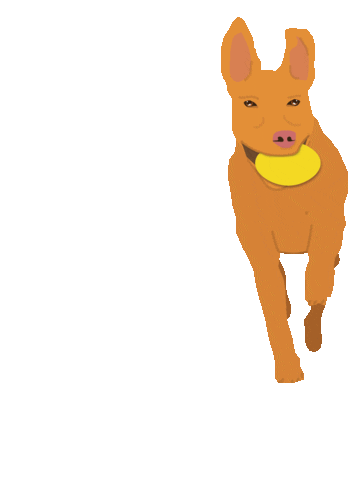 Fetch Dog Toy Sticker by Aussie Dog Products