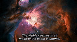 cosmos