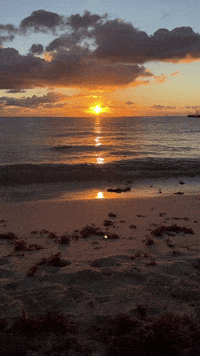 Sunrise GIF - Sunrise - Discover & Share GIFs
