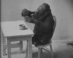 Black And White Drinking GIF