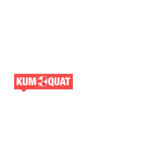 Logo Dj Sticker by kumquatlabel