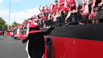 College Football GIF by Youngstown State University