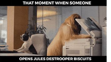 Dogs Office GIF by Jules Destrooper Biscuiterie