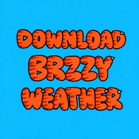 Cat Apple GIF by Brzzy