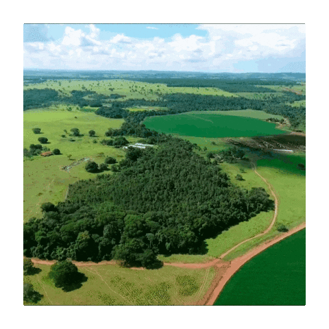 Sticker by Xecape Rural