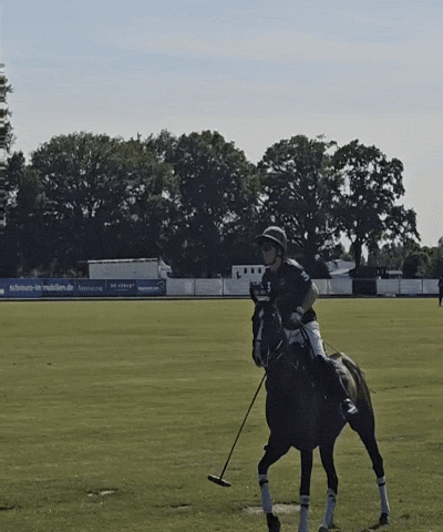 Horse Polo GIF by cam/b ® – the photo brothers