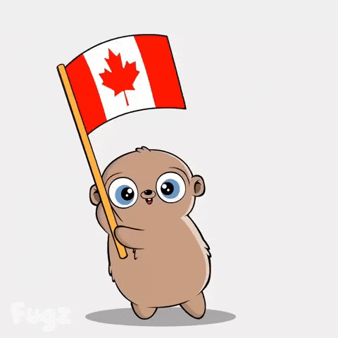 World Cup Wave GIF by Fugz Official