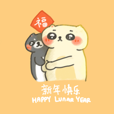 Chinese New Year Good Luck GIF
