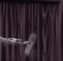 Shocked Joe Rogan GIF