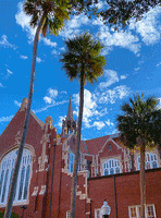 University Auditorium College GIF by University of Florida