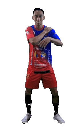 GFCA Handball Sticker