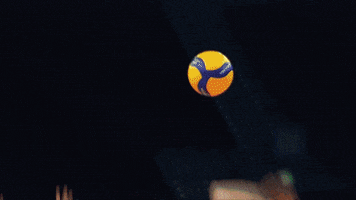 Shall Not Pass Oh No GIF by Volleyball World