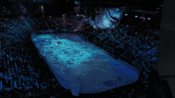 Hockey GIF