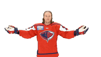 Echl Kelly Cup Sticker by SCStingrays