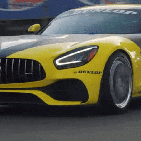 Racing Race GIF by Dunlop Tire NA