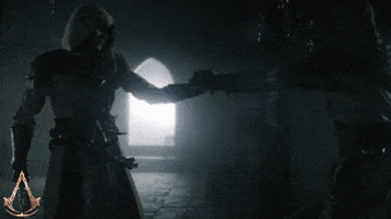 Block Fighting GIF by Assassin's Creed