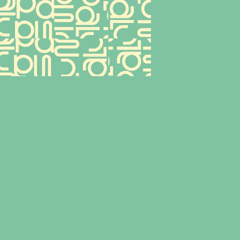 Paluma Festival GIF