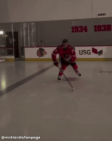 Nhl Skate GIF