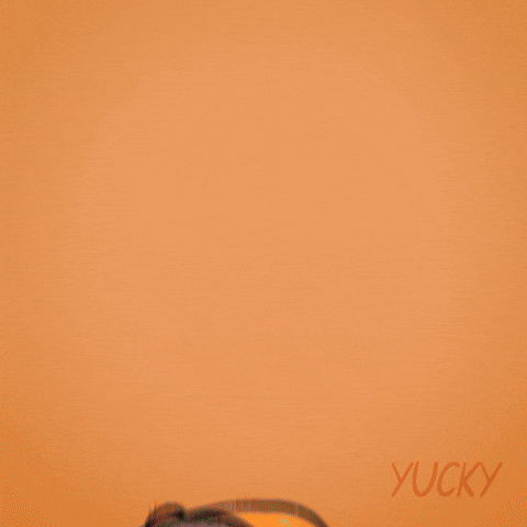 Duck Love GIF by Yucky Ducks