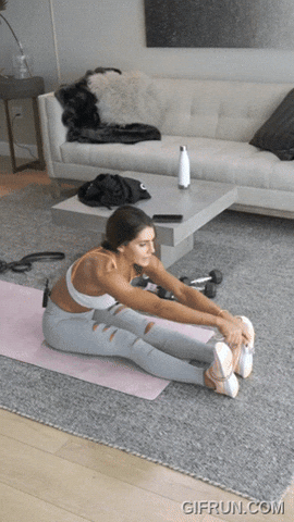 Seated Resistance Band Row GIF