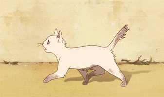 the cat returns neko no ongaeshi GIF by Maudit