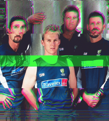 Brett Lee Mcgrath GIF