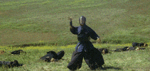 Ninja Fail GIF