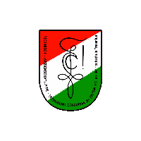 Twv-Concordia-Idstein Sticker