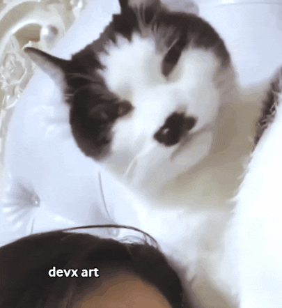 Cat Licking GIF by DevX Art