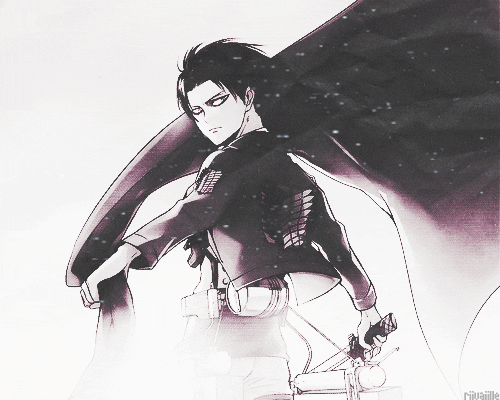 levi