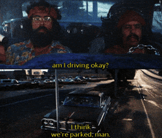 tripping cheech and chong GIF