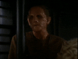 Deep Space Nine GIF