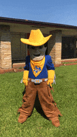 Quick Draw Mascot GIF by McNeese State University
