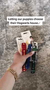 Hogwarts-house GIFs - Get the best GIF on GIPHY
