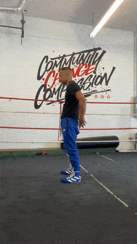 quinitboxing GIF
