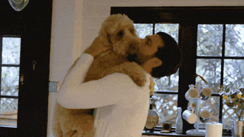 Dog Hug GIF by The Only Way is Essex