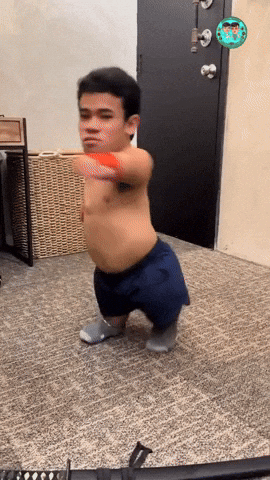 The Funniest GIFs