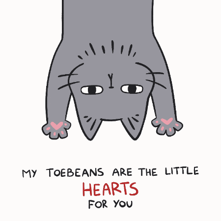 Catlove Hearts GIF