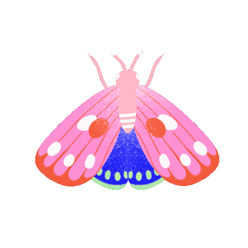 Butterfly Sticker
