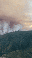 fire california GIF