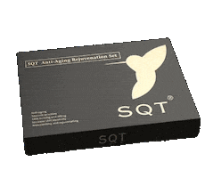 Rangertrooper Sticker by Sqtire Land