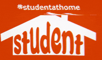 StudentatHome student at home studentathome studentporto erasmus porto GIF
