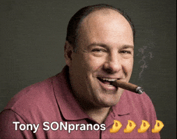 Italian Son GIF